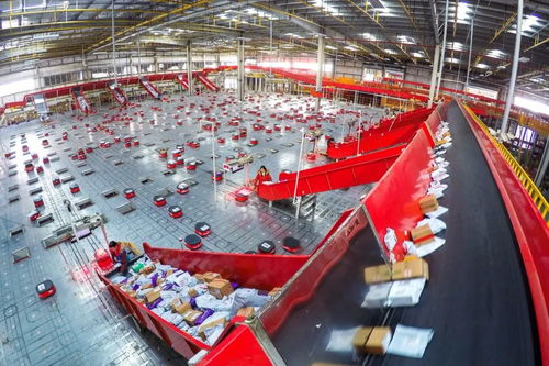 京东新业态服务民生显身手，日用百货销售引领消费新体验